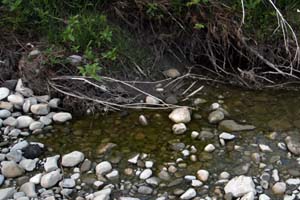 Rocks from Fish Creek